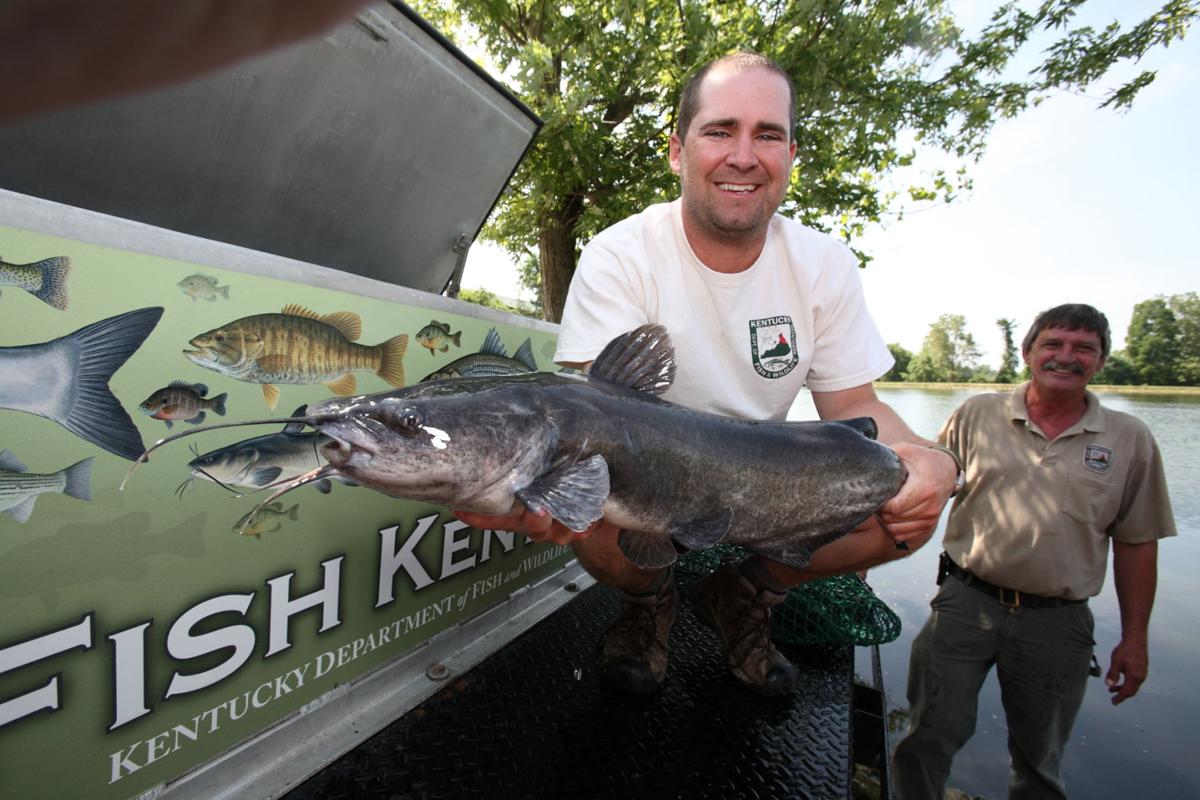 Catching catfish—at any hour - Kentucky Living