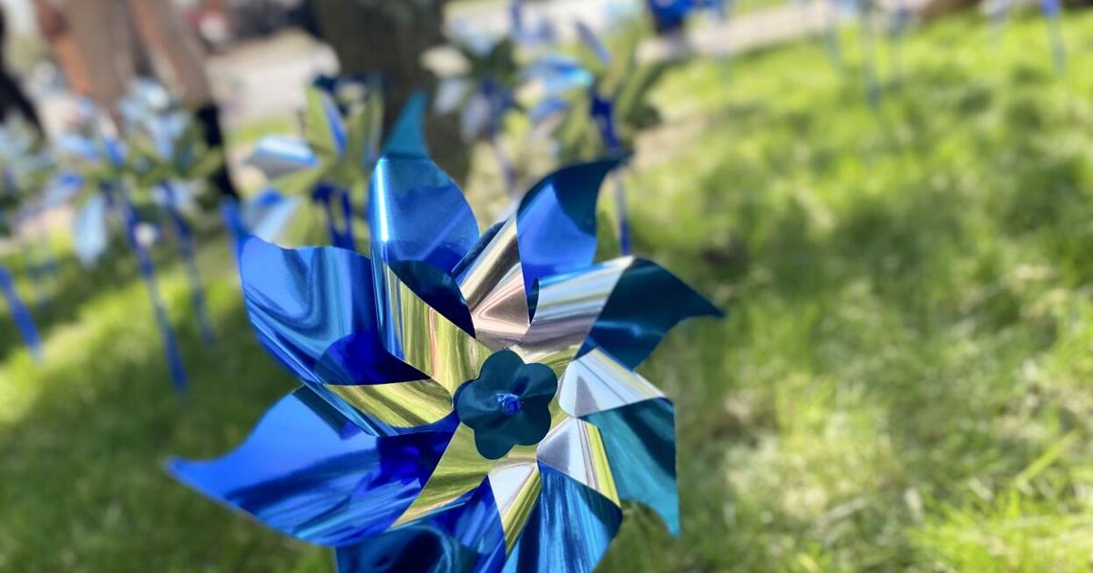 CASA plants pinwheels for child abuse prevention | Local News ...
