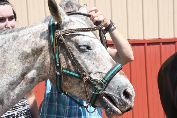 PHOTOS: Just Hoofin' It