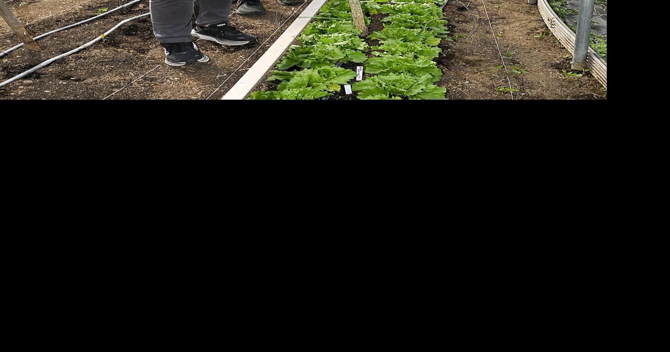 Berea gears up for 12th annual Victory Garden Blitz