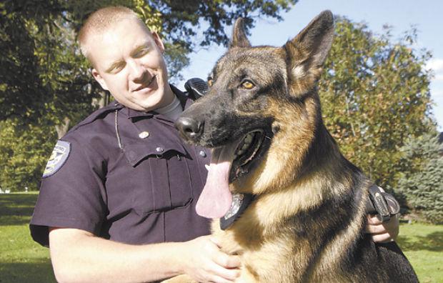 Not Your Average Dog Archives Richmondregister Com
