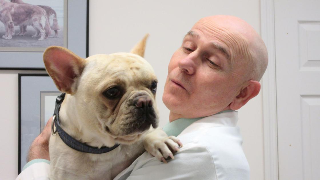Flu Fears For Fido News Richmondregister Com