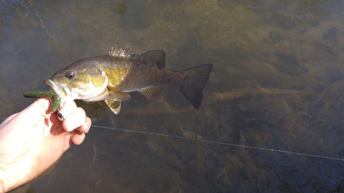 Late Winter Is Quality Time For Stream Smallmouth News Richmondregister Com