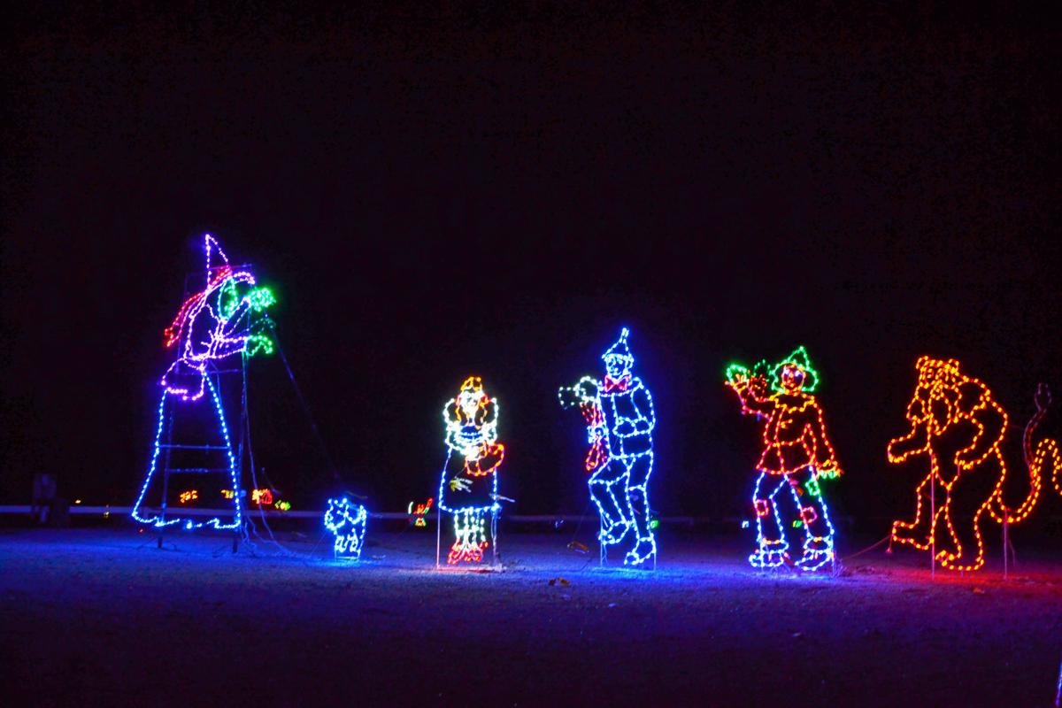 Lighting up the night: Southern Lights turns Kentucky Horse Park into ...