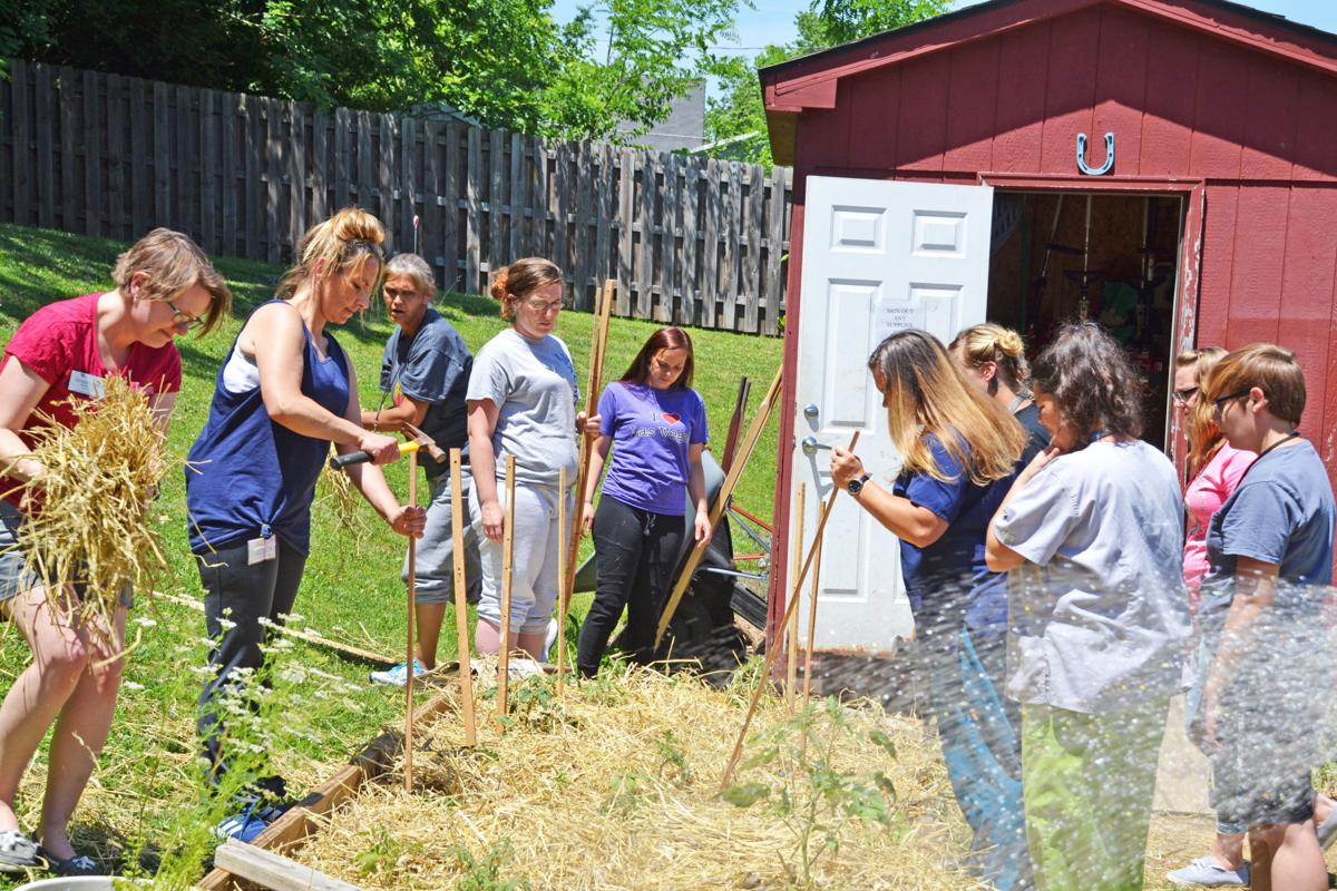 Growing More Than Just A Garden At Recovery Center News