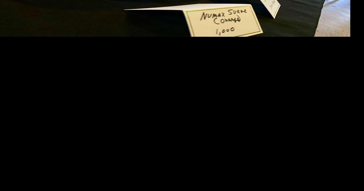 BRINGING THE HEAT: Paddy Wagon's hosts 10th annual hot pepper ...