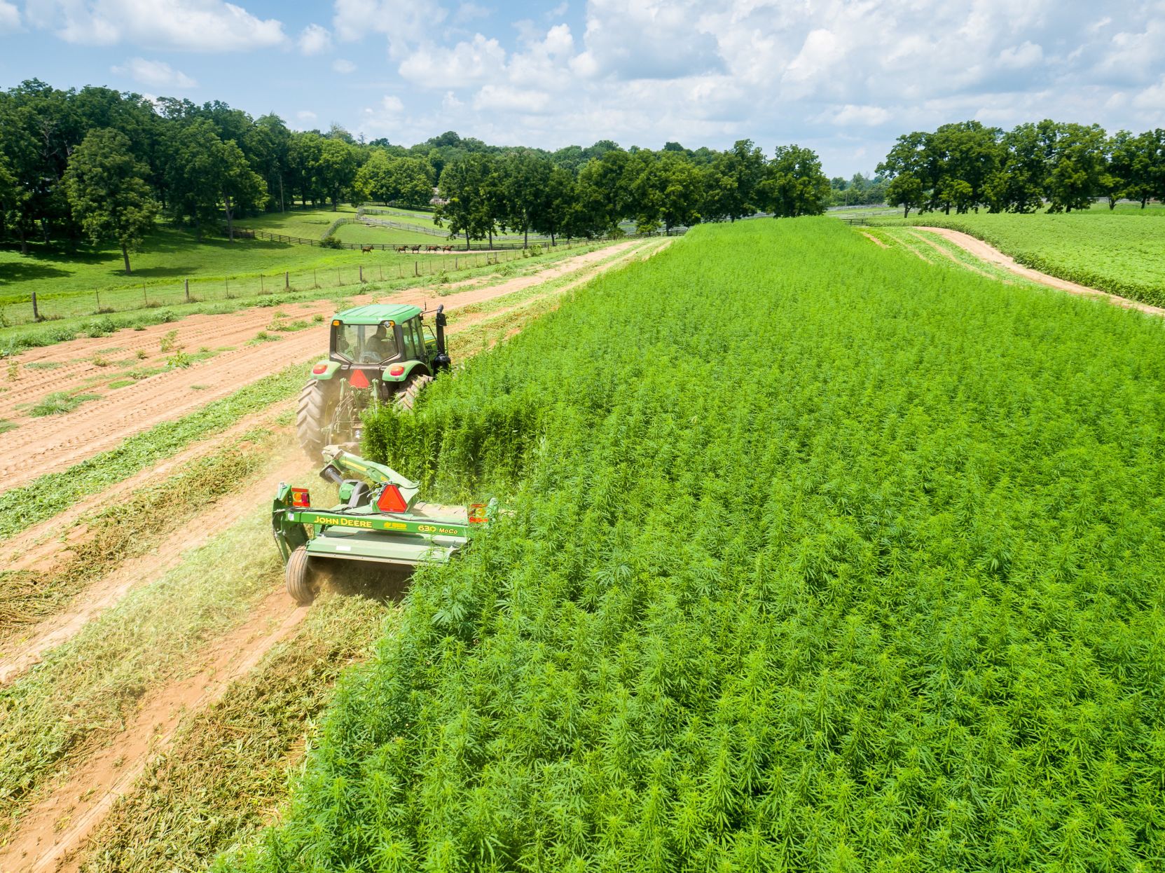 ky makes money from hemp farm