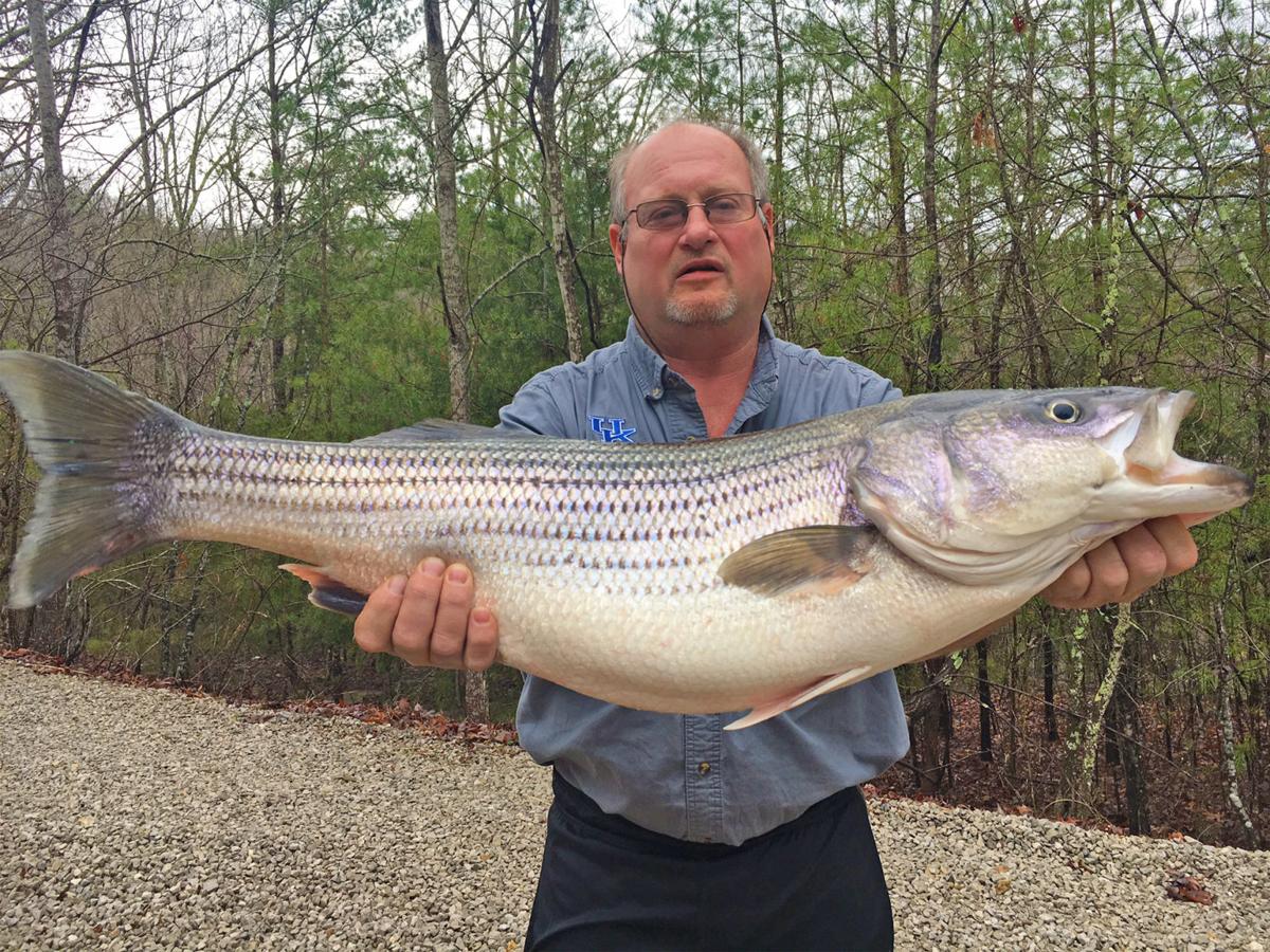 Conditions Point To Great Cumberland Bass Fishing