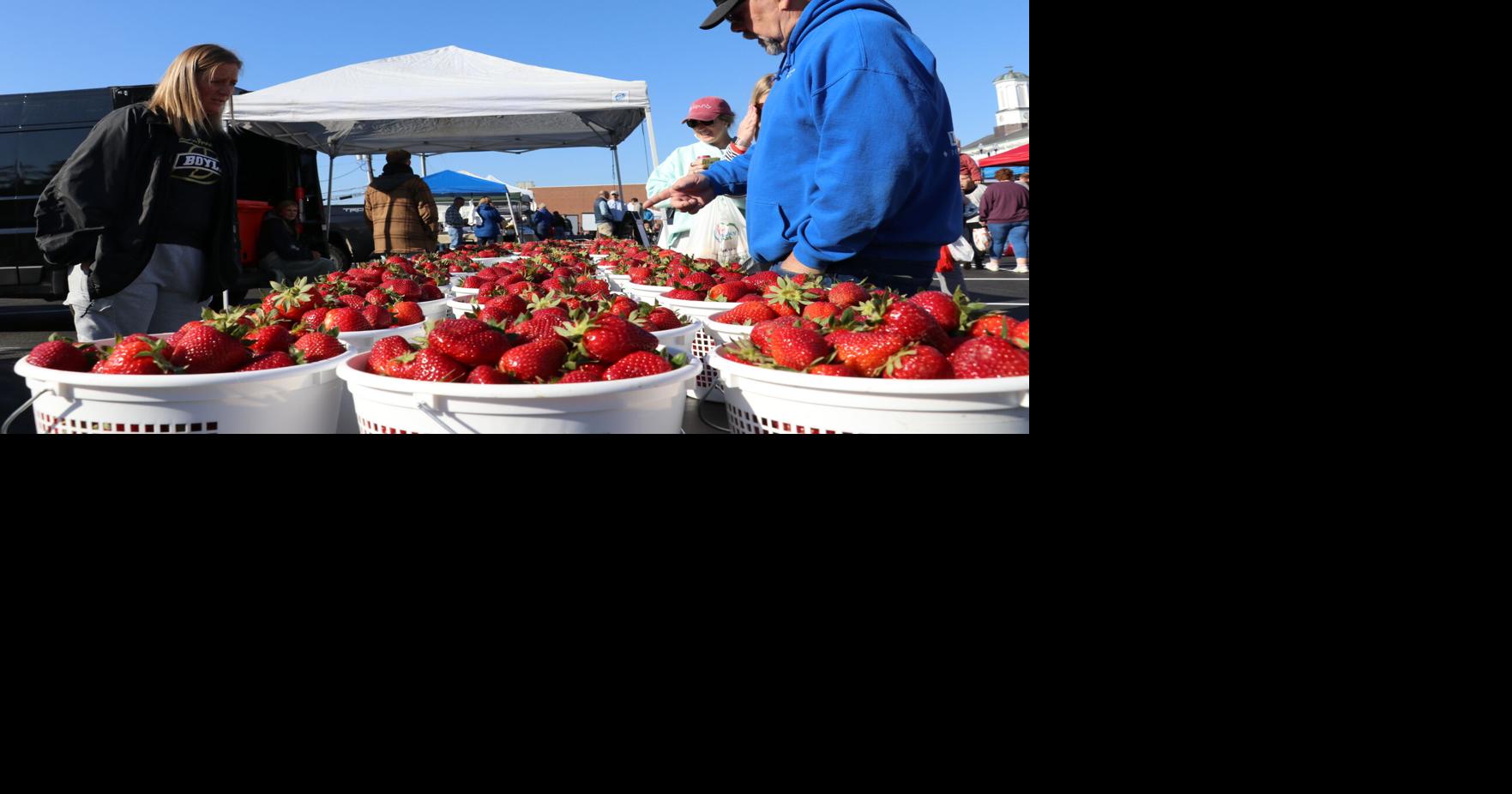 Madison County Farmers Market opens in new location