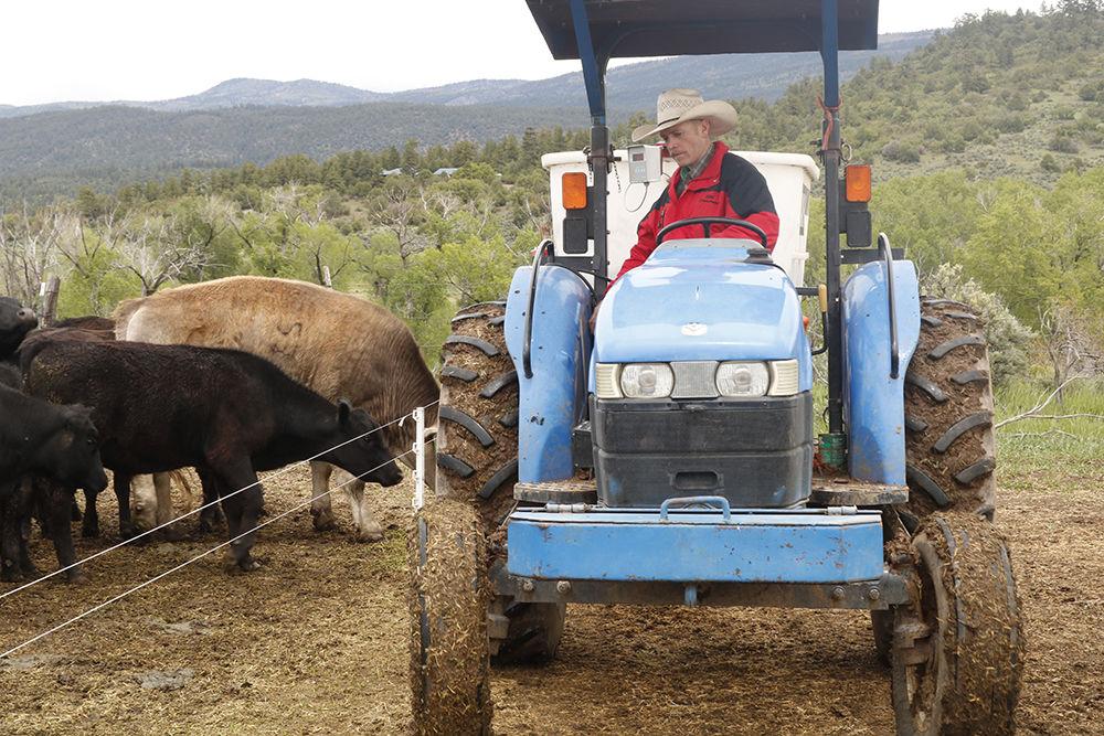 With Grant, Tierra Amarilla Rancher Hopes to Add Eight Jobs News