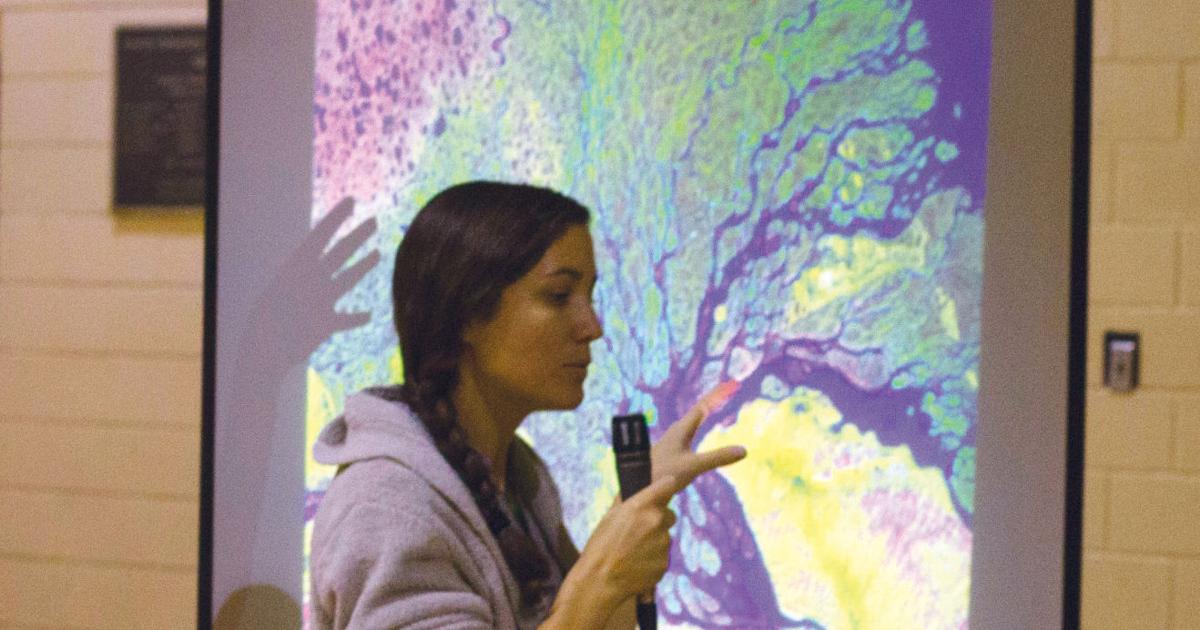 Fractals Make Science, Math Fun | Education | riograndesun.com