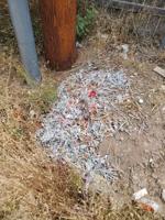 Needles in Española