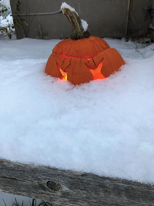 Chilly Pumpkin