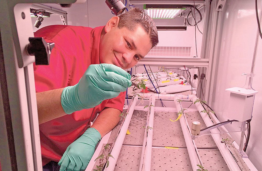 NASA Technical and Horticultural Scientist Jacob Torres works in the water for microgravity test bed at the Kennedy Space Center’s Space Station Processing Facility in Merritt Island, Fla. Thanks to Torres’ suggestion, the Española chile pepper will be the first fruiting plant to be grown in space this November on the International Space Station. (Photo courtesy Jacob Torres)