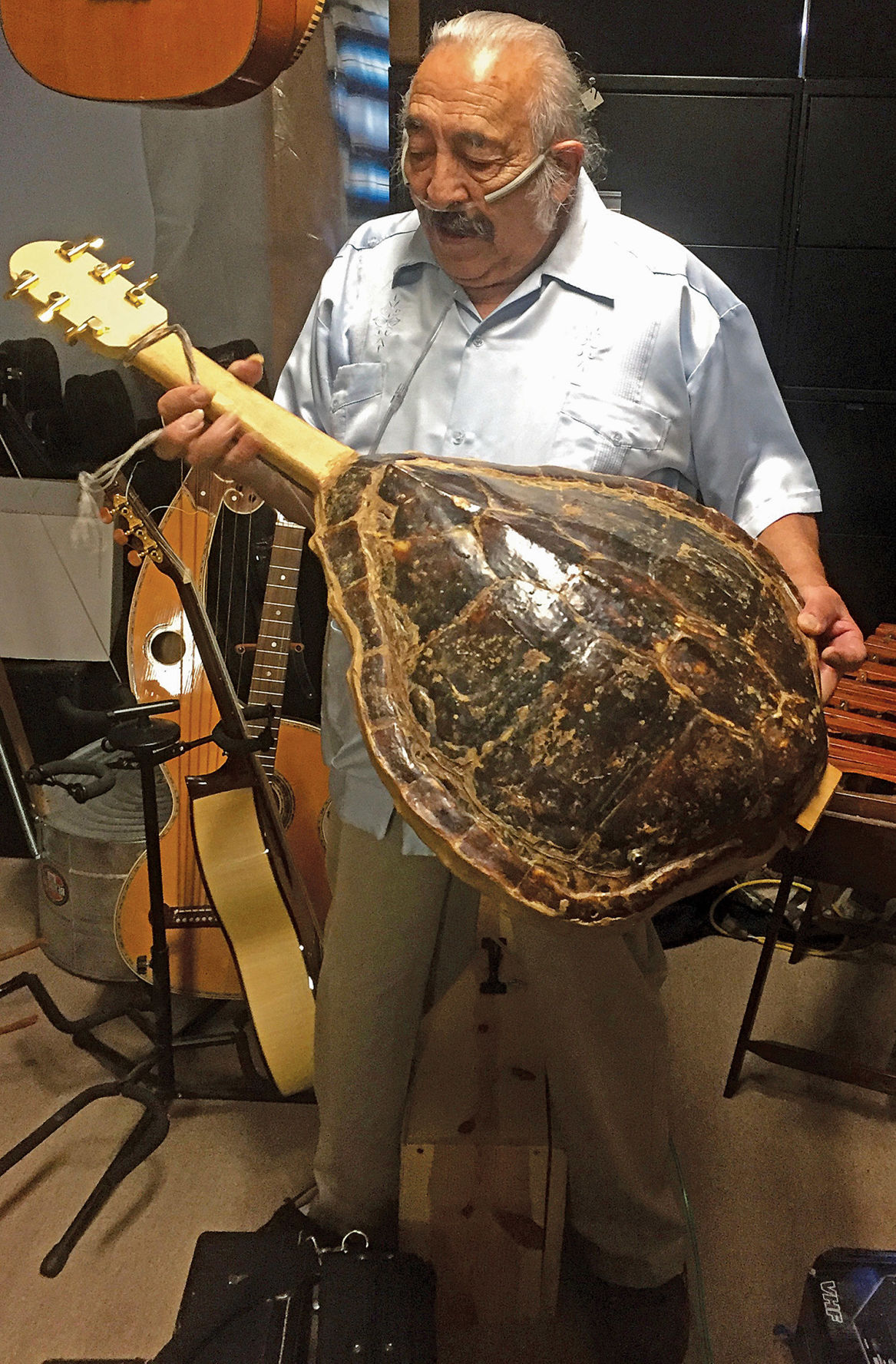 tortoise guitar