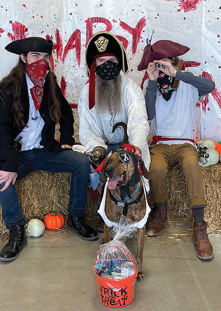 Pet Costume Contest