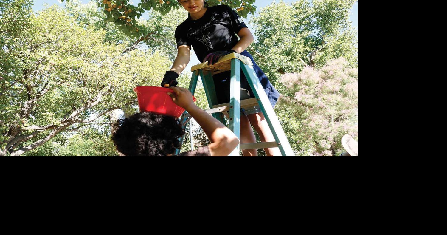 Where They Go to Get Away O'Keeffe's Garden News