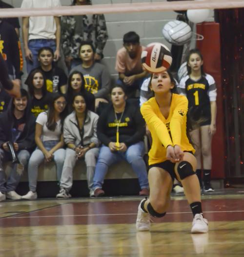 brianna nieto