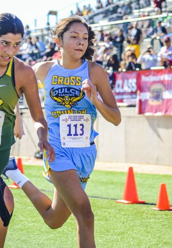State Cross Country Championships: Dulce Freshman Invades Pecos 