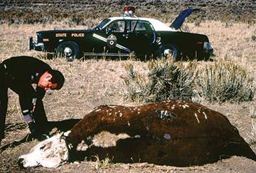 Book Sheds Light On Cattle Mutilations Dulce Base News Riograndesun Com