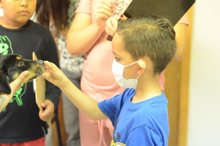 Alcalde Elementary School Students Visit Española Shelter News