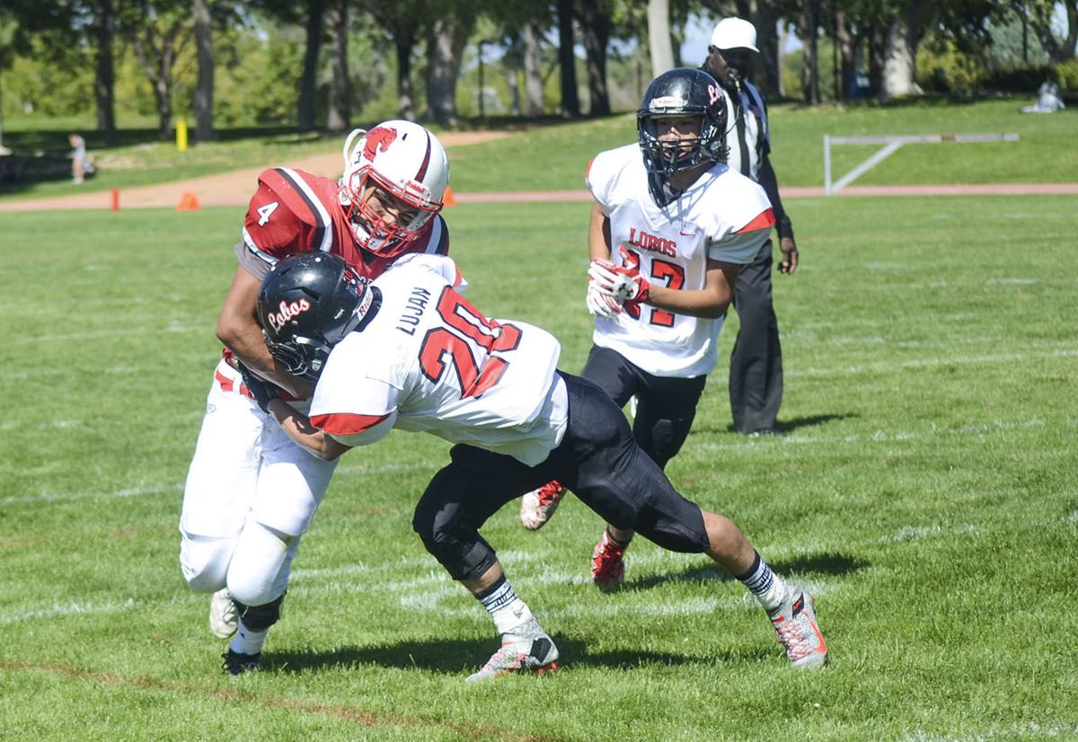 Lobos Earn Hard Fought 12 7 Win At Albuquerque Academy Sports