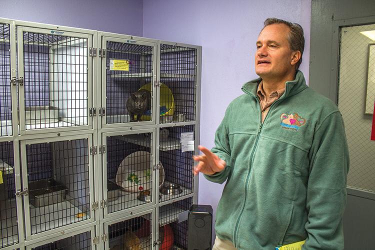 Animal Shelter Hires Deputy Director News