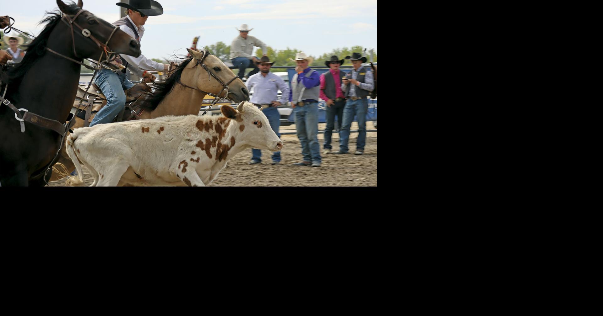 Rodeo Roundup rocks | News | rivertonranger.com