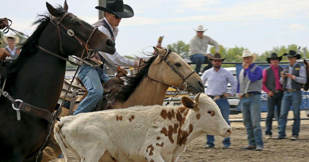 Ulverstone Rodeo Rodeo Roundup rocks | News | rivertonranger.com