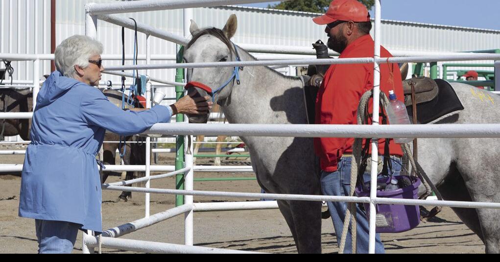 BLM and Wyoming Honor Farm place 40 gentled animals News