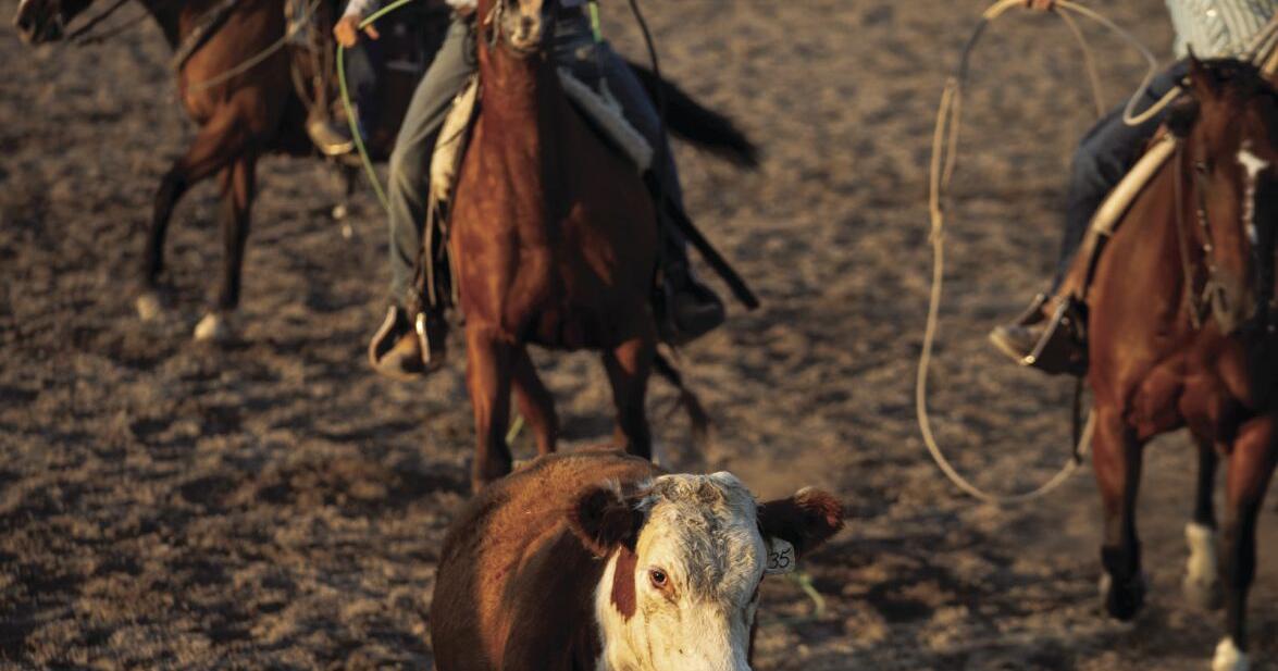 Locals rally at Ranch Rodeo | Multimedia | rivertonranger.com