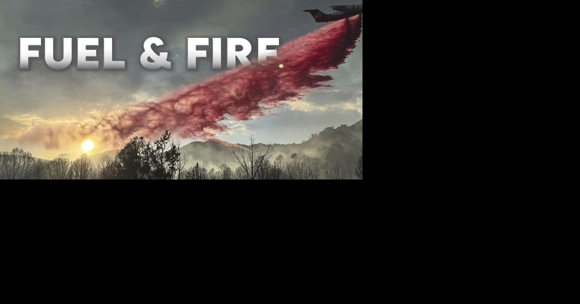 Bill aims to fight fire with forest thinning, grazing | News ...