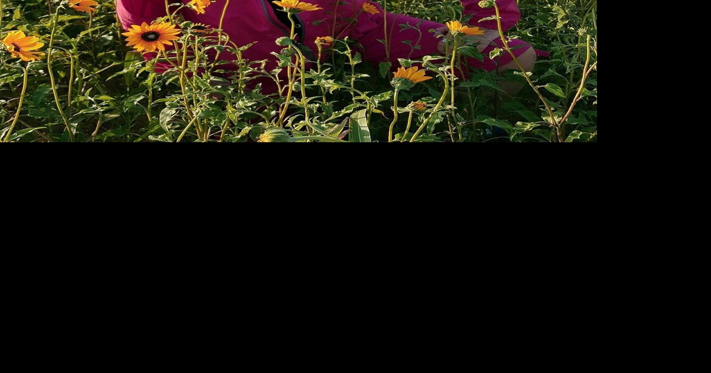 Saundra Anderson Obituaries