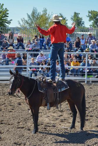 BLM and Wyoming Honor Farm place 40 gentled animals | News ...