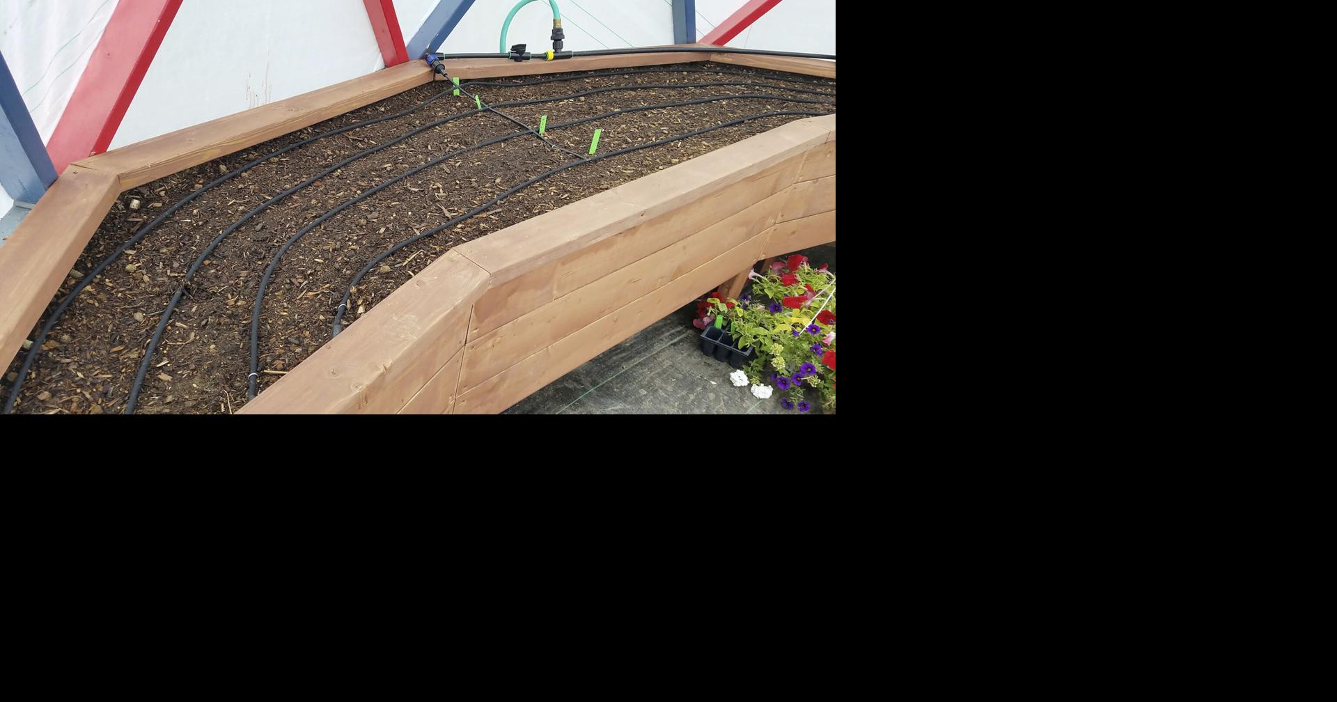 Read MoreWeathering the storm: Extension offers series on gardens, trees and turf during drought