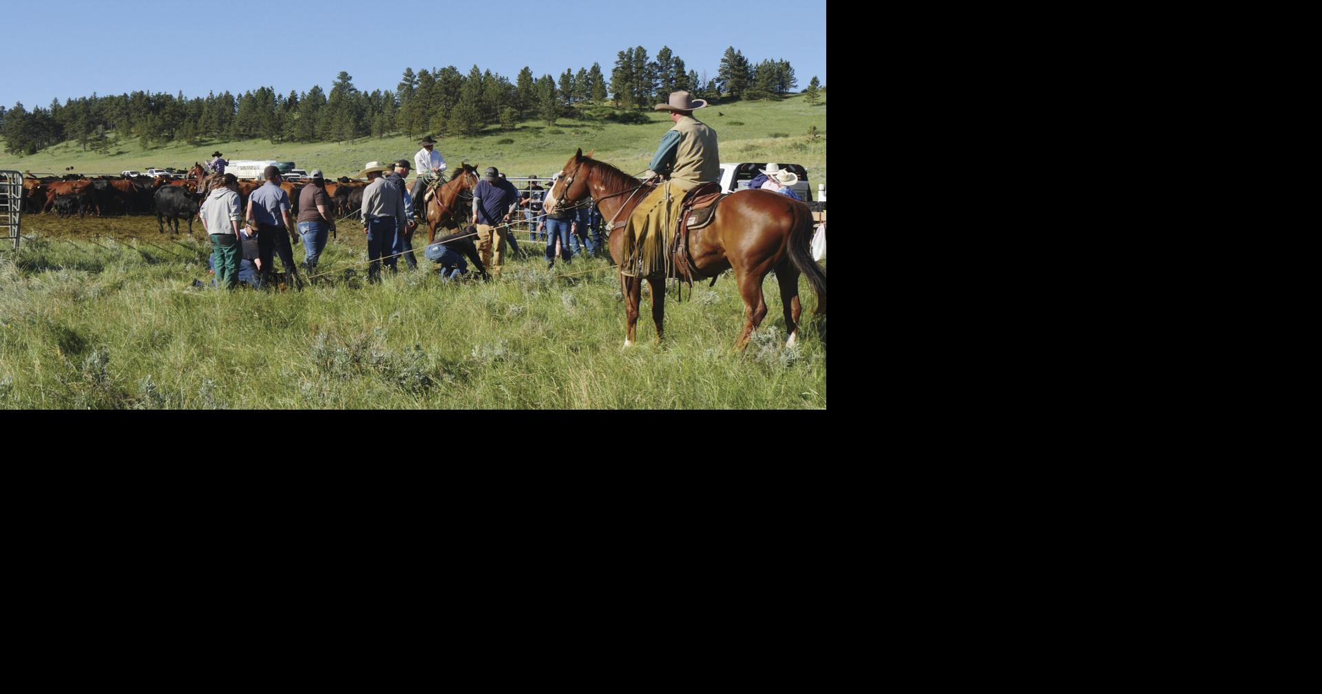 Calling all aspiring ranchers | News | rivertonranger.com
