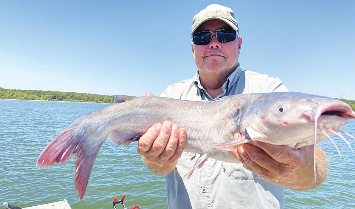 Hubbard's Fishing Trip – Reel Animals Fishing
