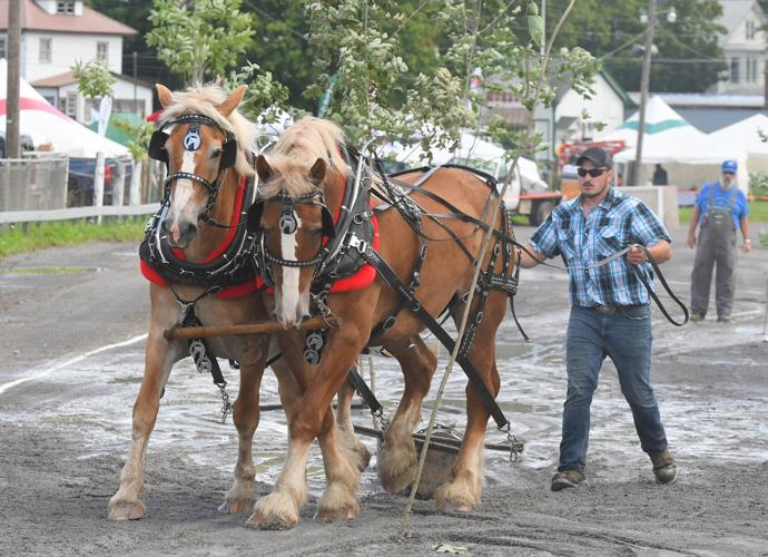 Woodsmen's Field Days roll on with excitement in Boonville Museums