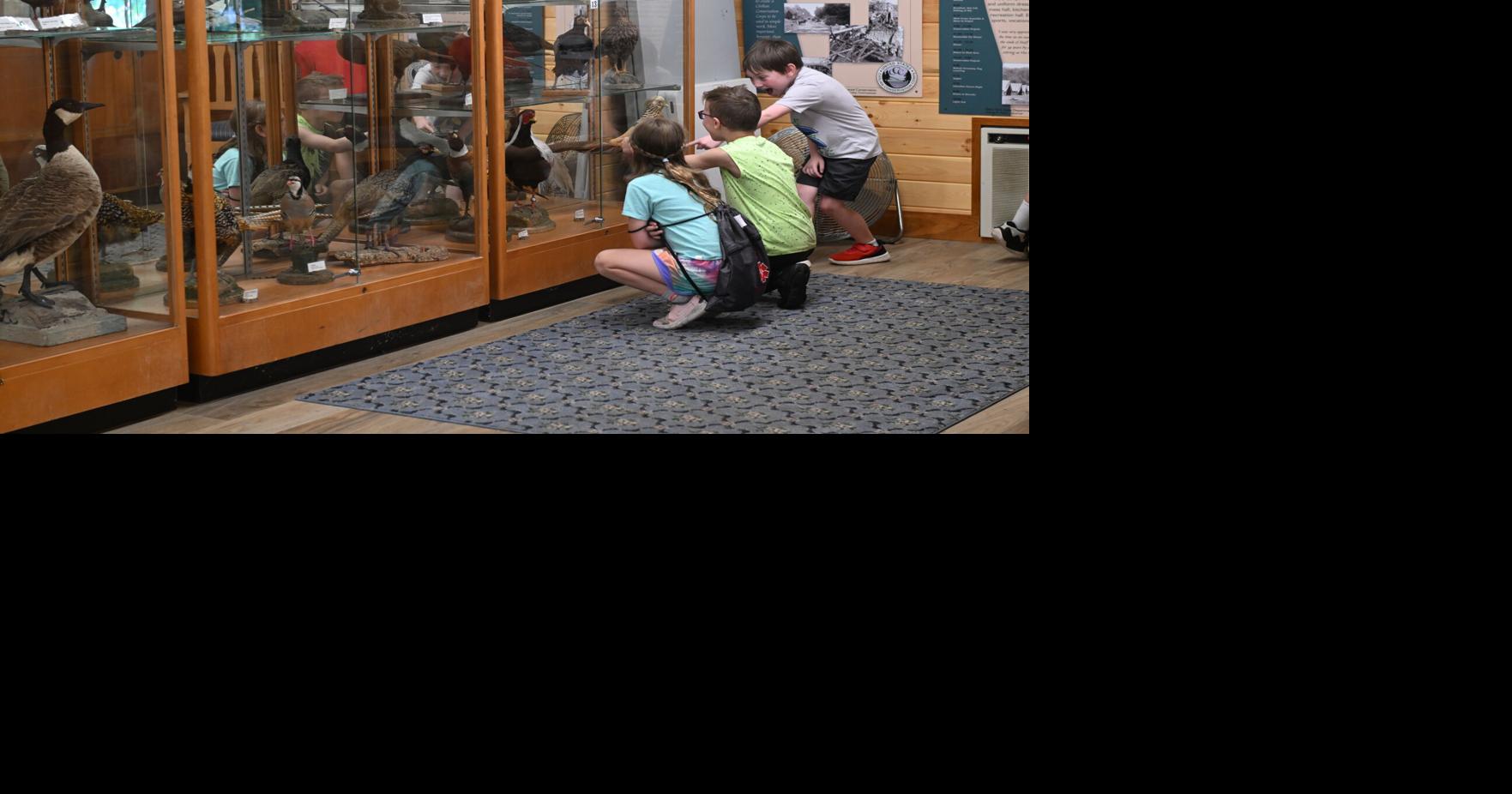 Read moreDay trip destination: Free family fun awaits at Rogers Environmental Education Center