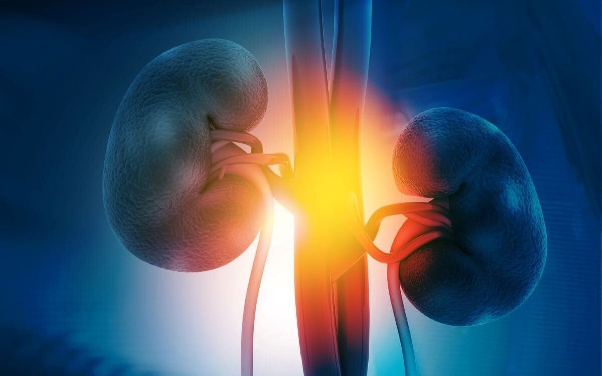 Study Finds GLP-1 Meds Can Also Help The Kidneys | Health ...