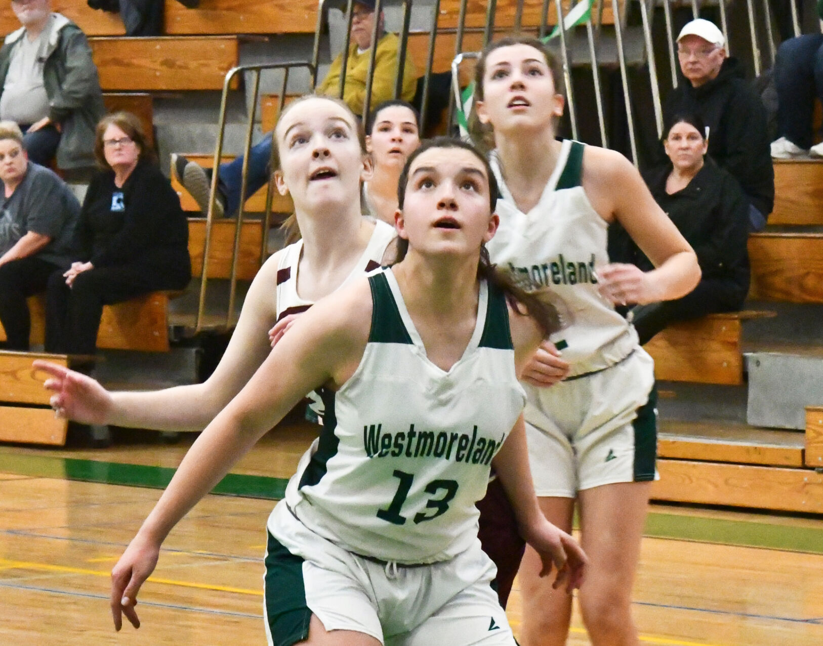 Sauquoit's Alaina Weaver Scores Her 1,000th Career Point And Breaks ...