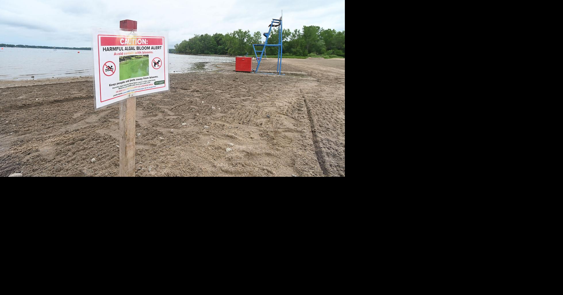 Read moreAlgae blooms force temporary closure of Delta Lake swim area