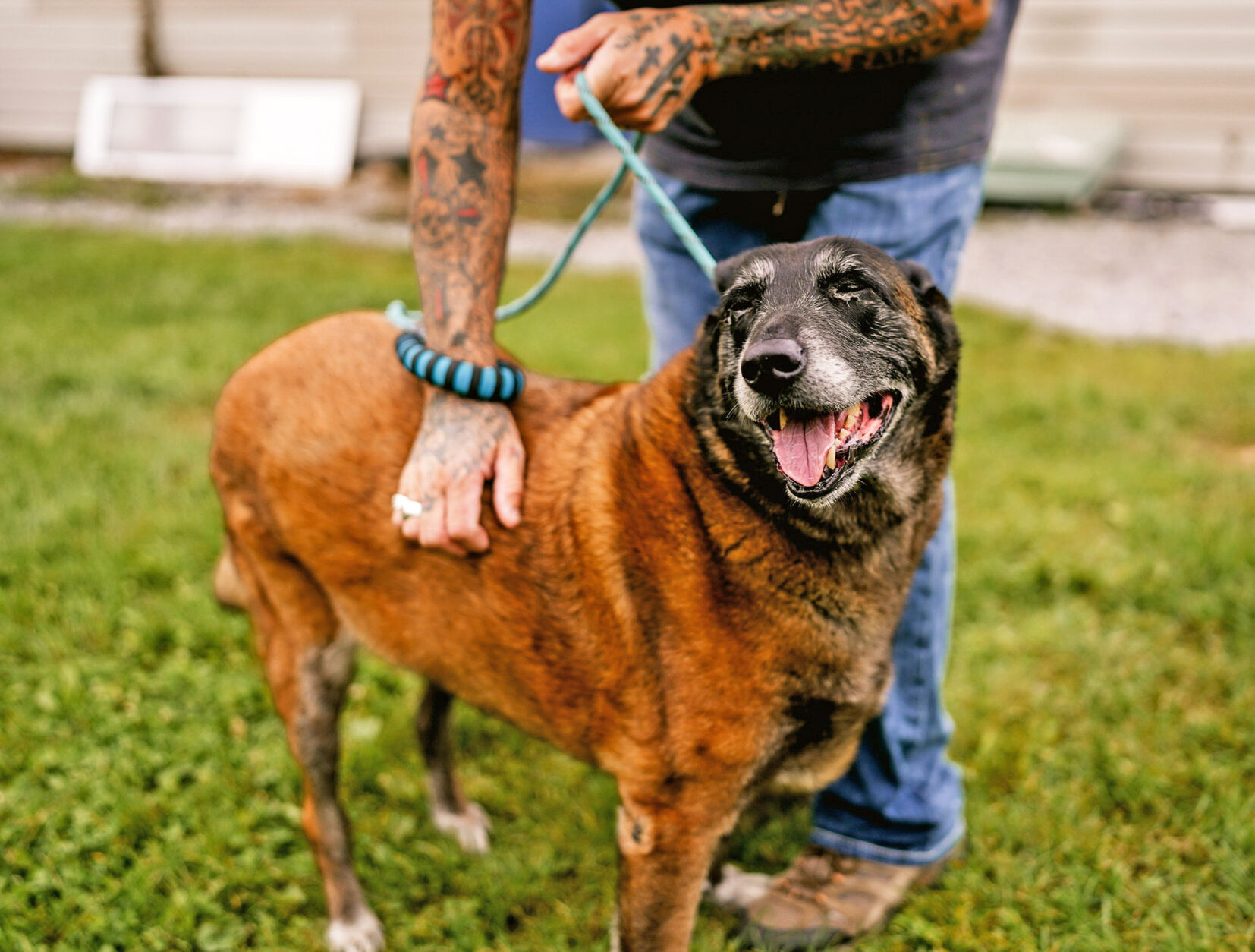 PICK A PET: Roxy and Archie | | romesentinel.com