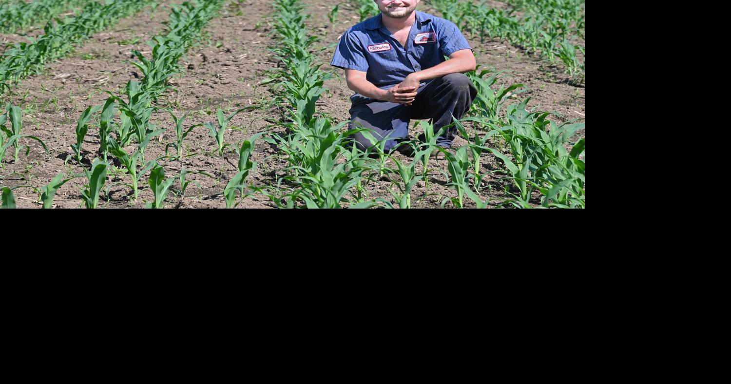 There’s more than meets the eye to a beautiful field of crops | News ...