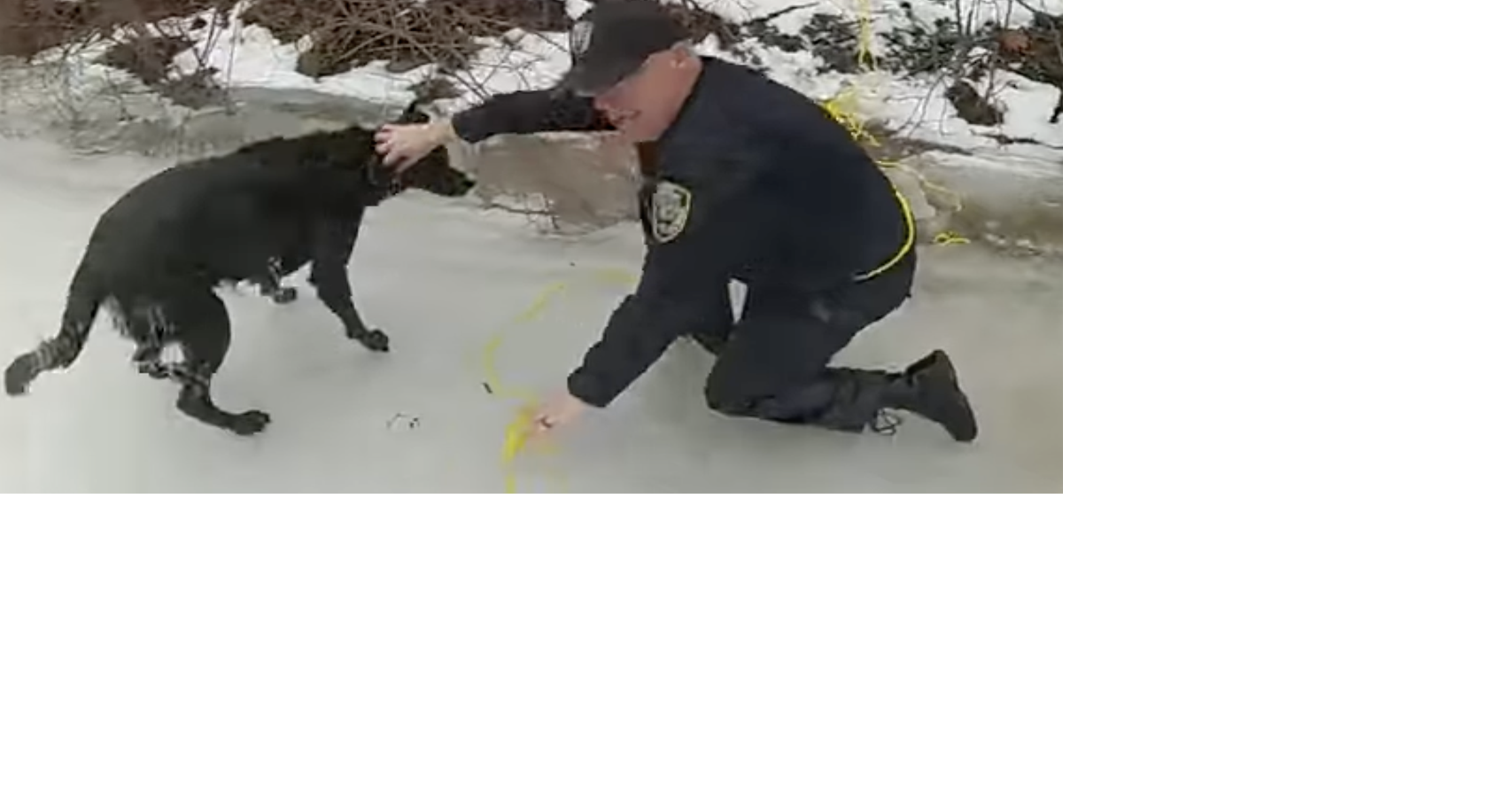 Troopers, police rescue dog from icy water in Barge Canal | News ...