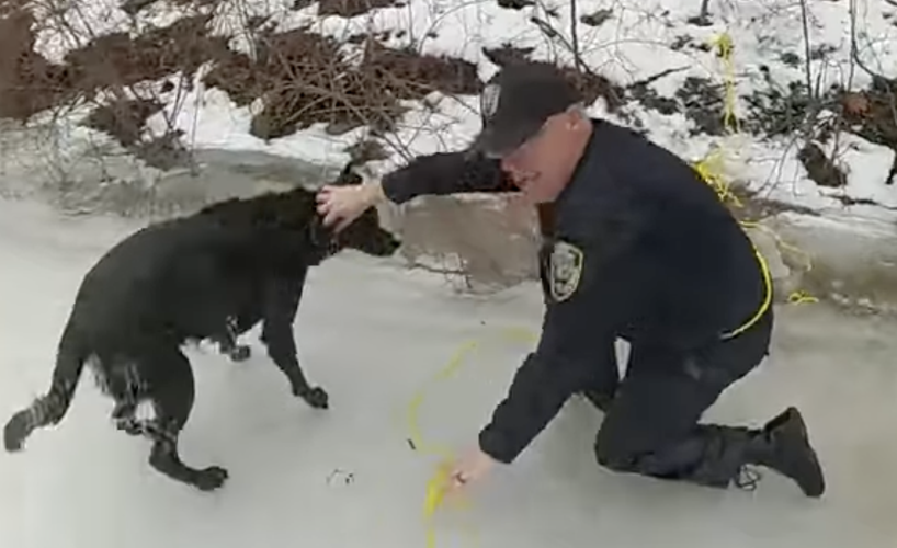 Troopers, police rescue dog from icy water in Barge Canal | News ...