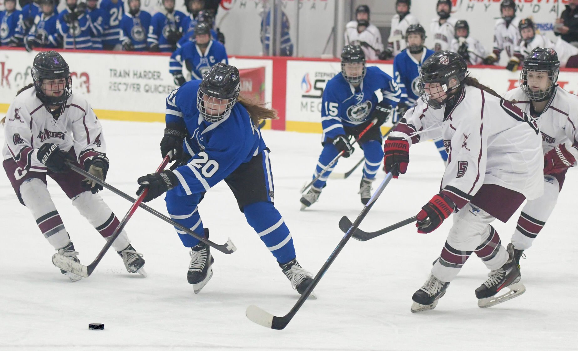 Check out sights from the Clinton girls hockey team's Section III ...