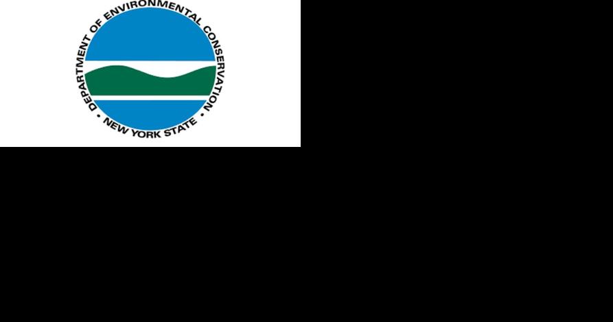 Busy year, week for DEC forest rangers - Vimarsana News