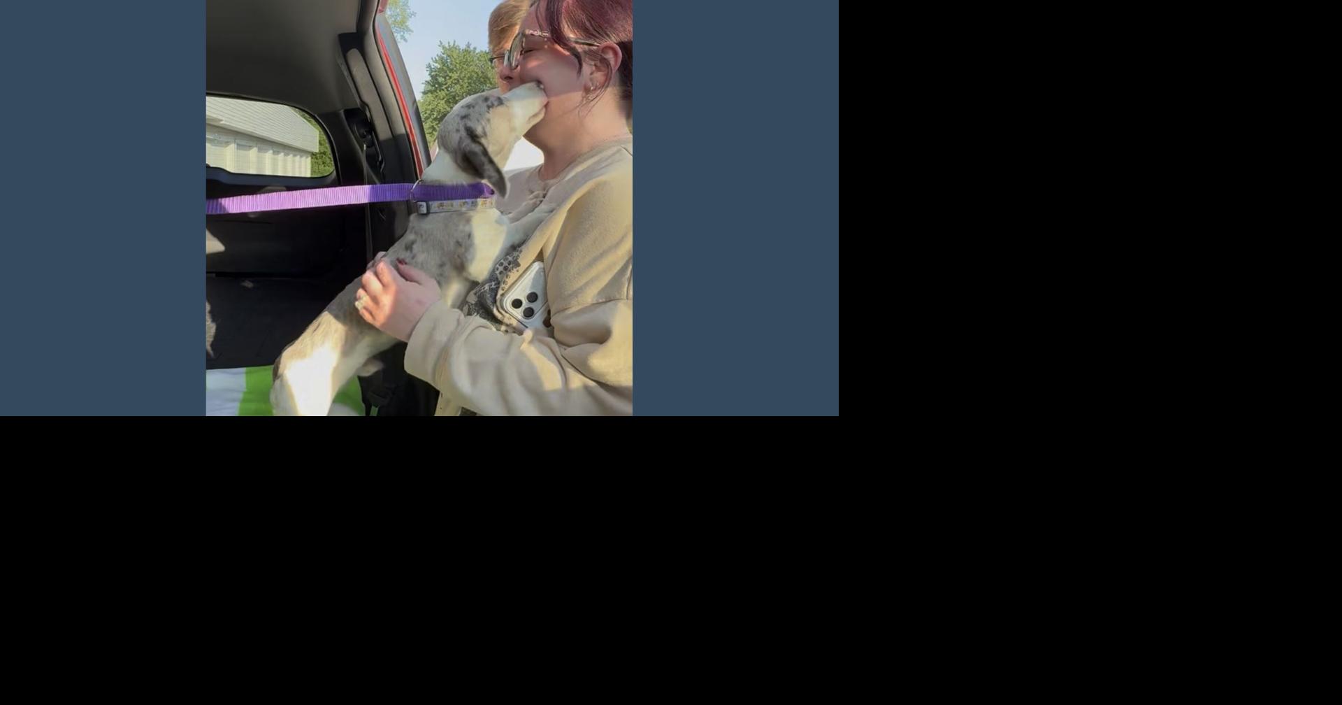 Rome woman reunites with dog she lost nearly 200 miles away