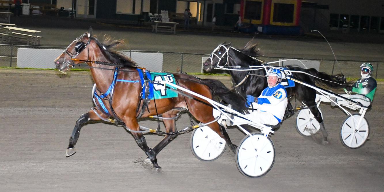Dig Driver Digging For Gold wins Open Pace at Vernon Downs | Sports | romesentinel.com